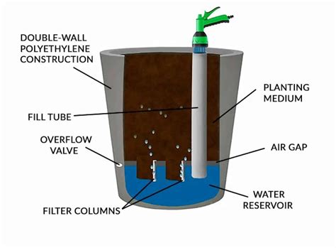 Planter diagram. Things To Know About Planter diagram. 
